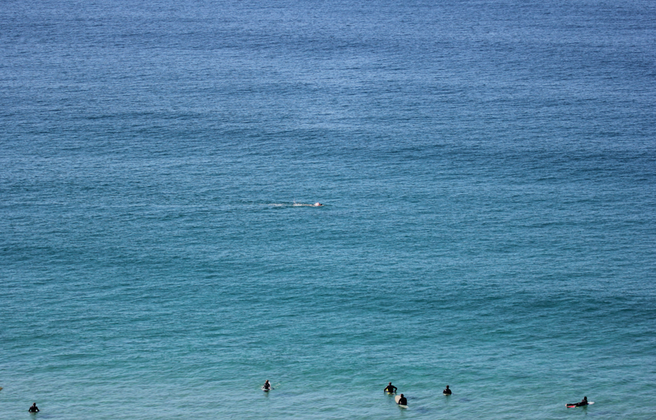 Swimming