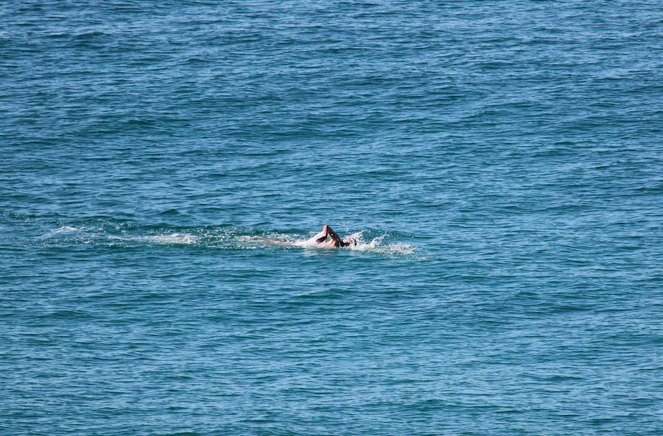 swimmer